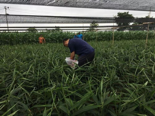 農(nóng)化明星 大地英雄 這個(gè)獎(jiǎng)你值得擁有