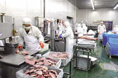 豐都構建“三大體系”打通發展瓶頸，以“三步走”探索食品及農產品加工高質量發展新路徑